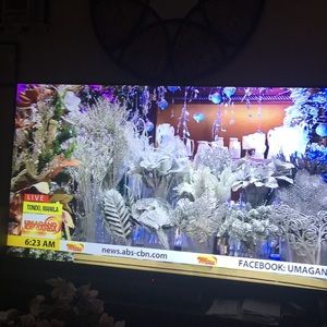 Meet your Posher, Elena